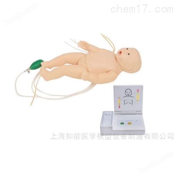 多功能婴幼儿心肺复苏急救模拟人公司