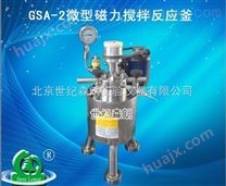 GSA-2微型磁力搅拌反应釜