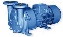 2BV型水环式真空泵及配件