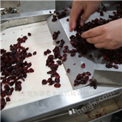蔓越莓果脯切丁机德盈食品机械