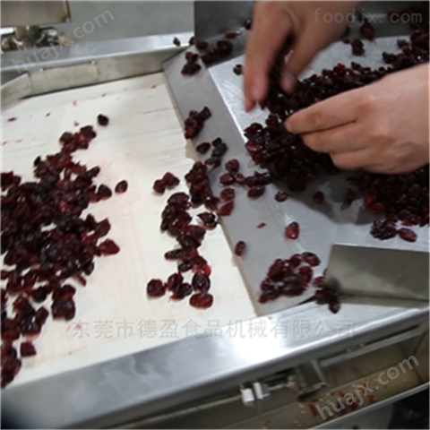 蔓越莓果脯切丁机德盈食品机械
