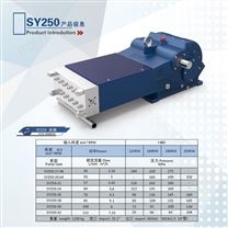 SY250高压泵