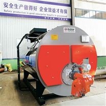 WNS系列卧式燃油蒸汽锅炉燃油燃气锅炉