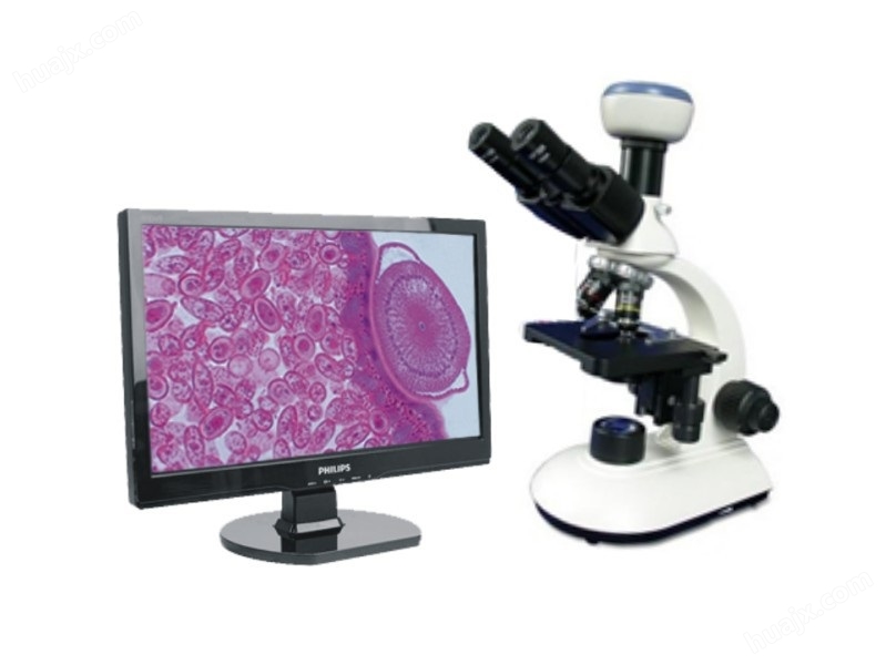 光学显微镜及成像设备