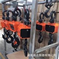惠州3吨电子吊秤厂家