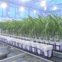 Conveyor植物表型成像系统