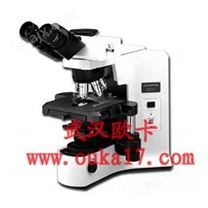奥林巴斯BX41生物显微镜