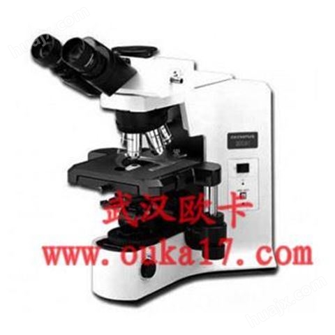 奥林巴斯BX41生物显微镜