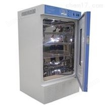 DW-250低温恒温箱贮存箱