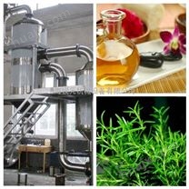 设备制造植物精油提取设备、纯露蒸馏设备、水蒸气蒸馏器