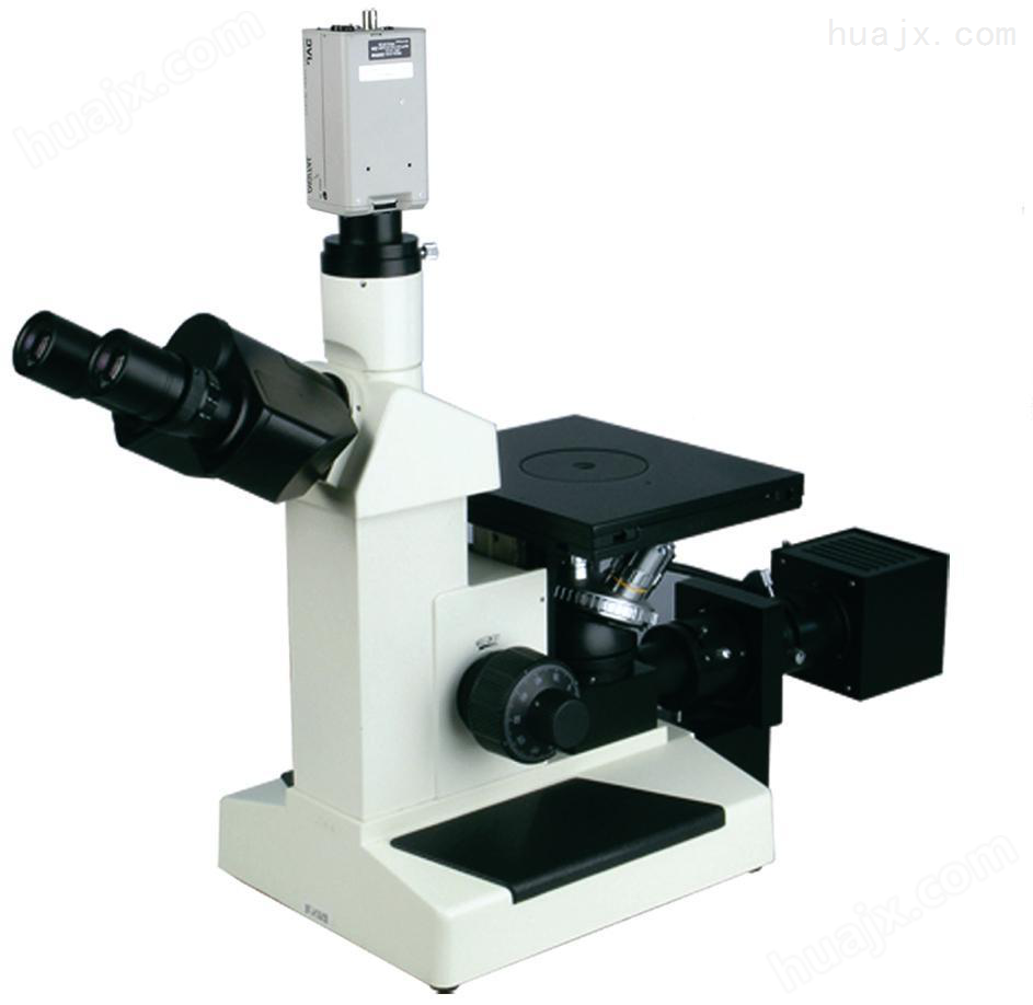 TMR4000金像显微镜