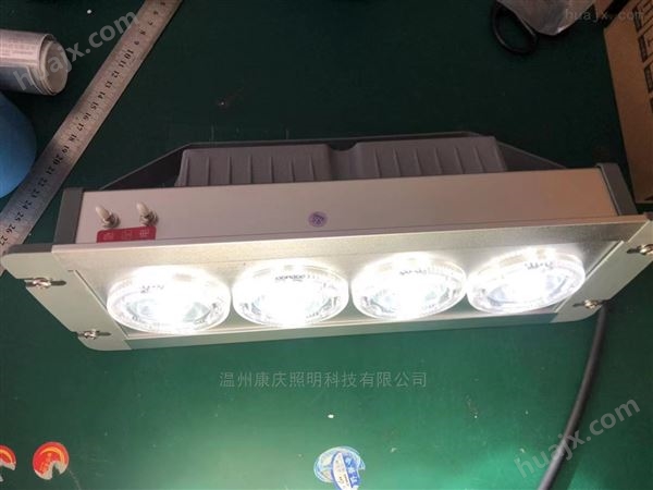 LED应急顶灯 河南洛阳电厂照明