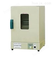 台式电热恒温鼓风干燥箱-DHG-9203A