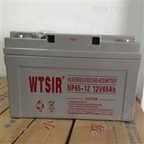 WTSIR蓄电池（实业）有限公司
