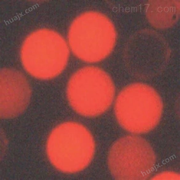 微球铕螯合荧光微粒报价
